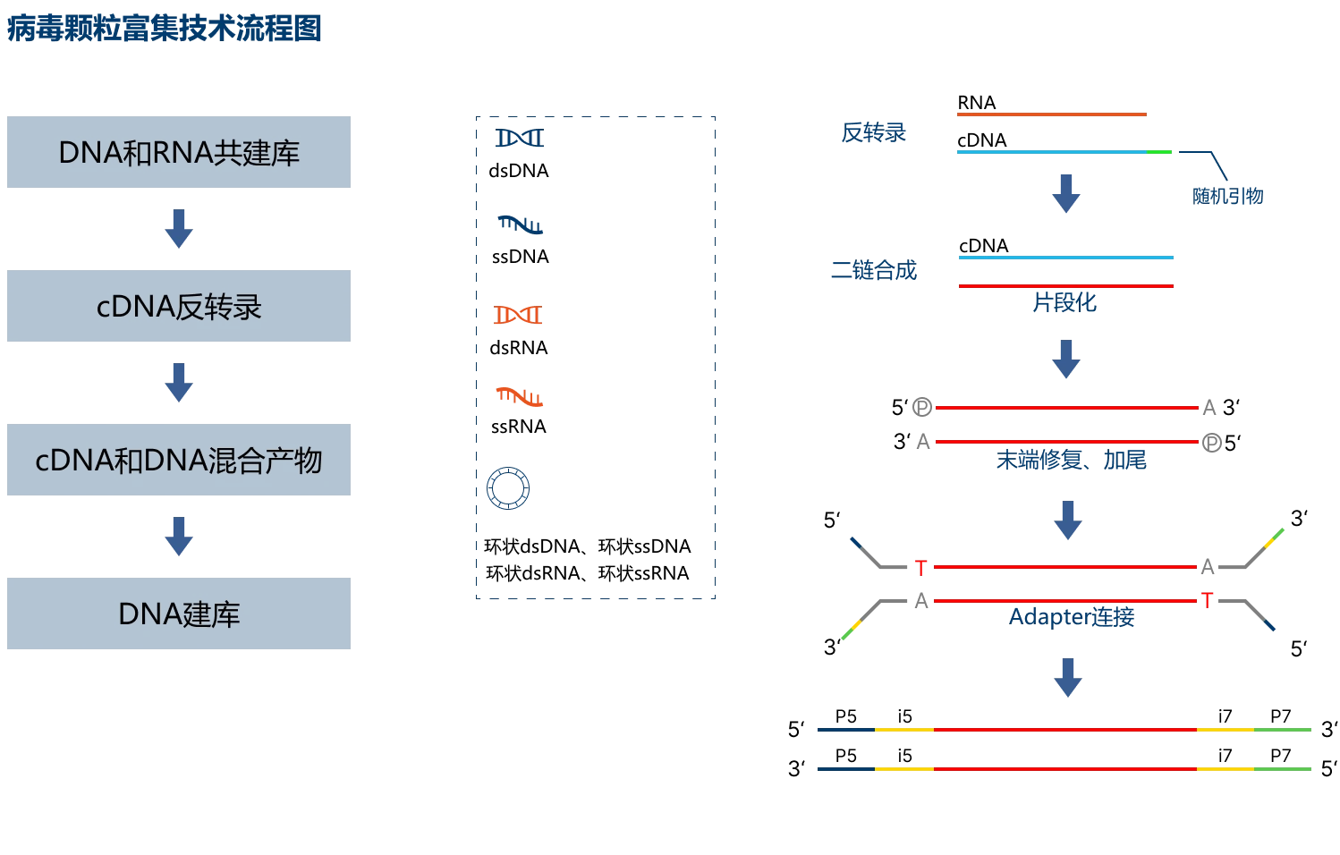 基因帮 | 专业病毒组研究合作伙伴